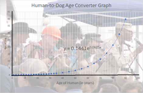 human to dog age converter graph